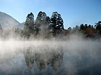 金鱗湖（きんりんこ）の朝霧