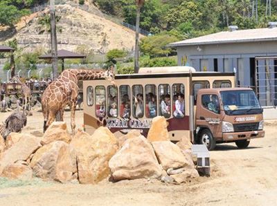 アドベンチャーワールド 　和歌山県　人気観光地