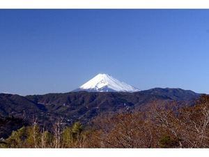 伊東市のおすすめコテージ伊東温泉　オーシャンビュー　ヴィラ　ジェイズ離れの宿BALI庵から見える富士山の景色