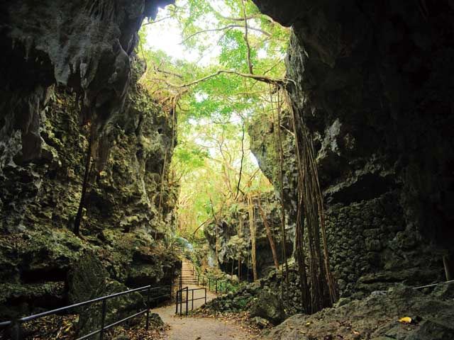 ガンガラーの谷　沖縄県　人気観光地