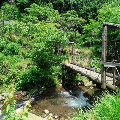 箱根の人気コテージ離れのやど 星ヶ山周りには自然の風景せせらぎや綺麗な花