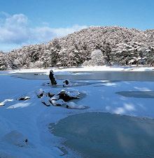 毛越寺（もうつうじ） 岩手県　人気観光地