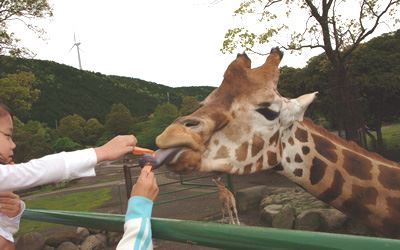 伊豆アニマルキングダム　静岡県　人気観光地