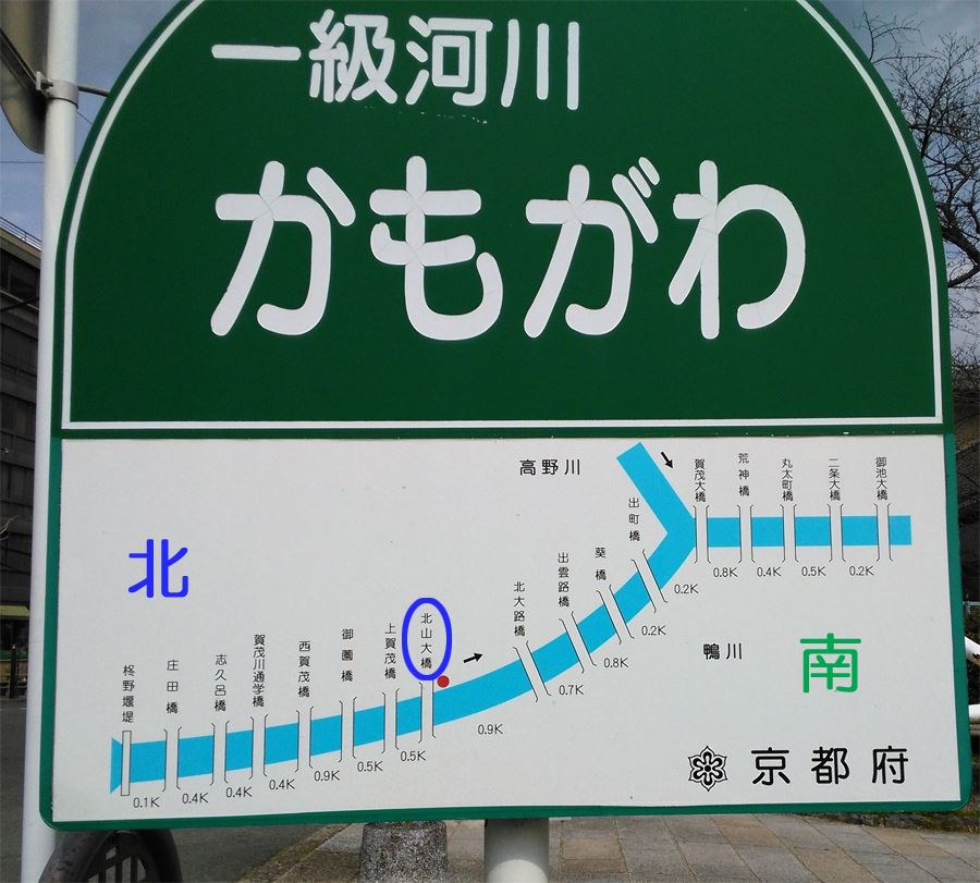 京都の桜名所賀茂川の桜　北山大橋周辺　地図看板