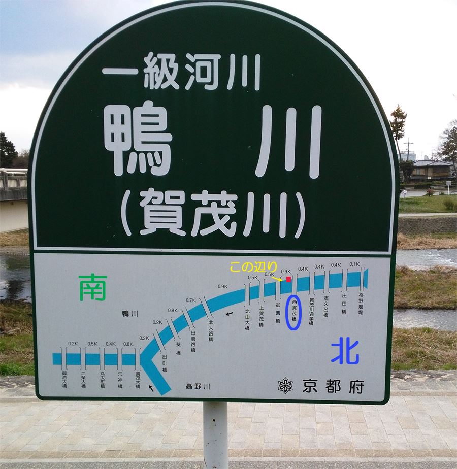 京都の桜の穴場　賀茂川の両岸　西賀茂橋周辺の早咲きの桜 地図看板