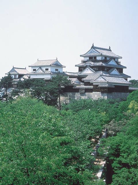 愛媛県 人気観光地