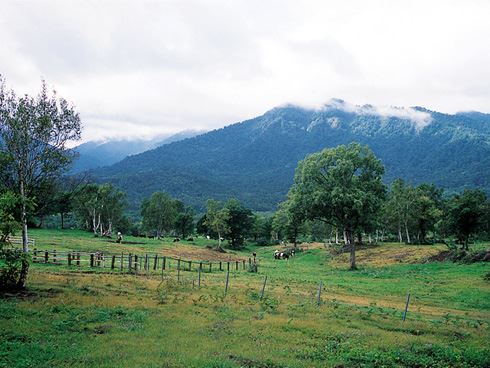 新潟県　人気観光地