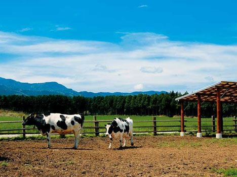 那須高原（なすこうげん） にあるレジャー施設やアクセス！栃木県人気観光地