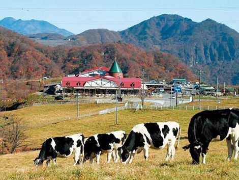 栃木県の人気観光地・スポット大笹牧場（おおざさぼくじょう）