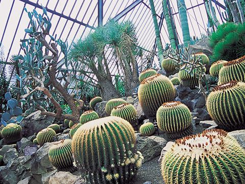 伊豆シャボテン動物公園の周辺ホテルや民宿静岡県伊東市人気観光地