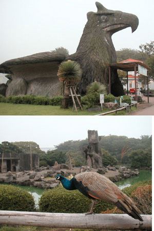 伊豆シャボテン動物公園の周辺ホテルや民宿静岡県伊東市人気観光地