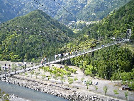 谷瀬の吊り橋（たにぜのつりばし） 奈良県　人気観光地